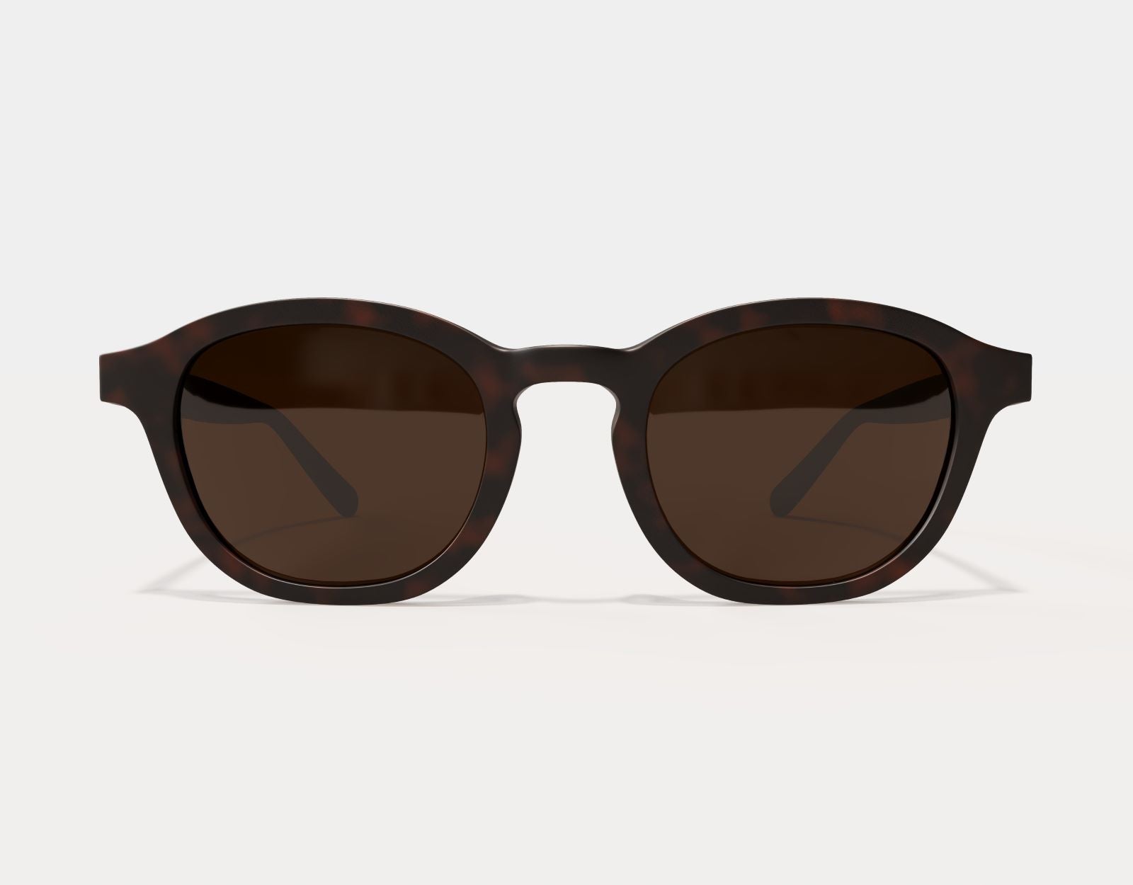 Front view of The Scholar 165mm XXL sunglasses for people with big heads in Tortoise – oversized fit and classic frame.