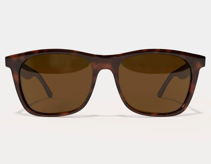 Front view of Classic 155mm XL polarised sunglasses in Tortoise – wide frame comfort with warm lens tone.
